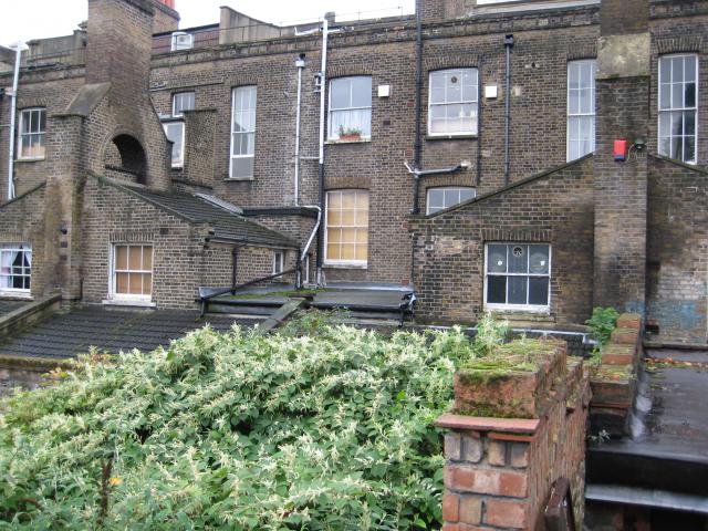 Floor plans of flats in Hammersmith