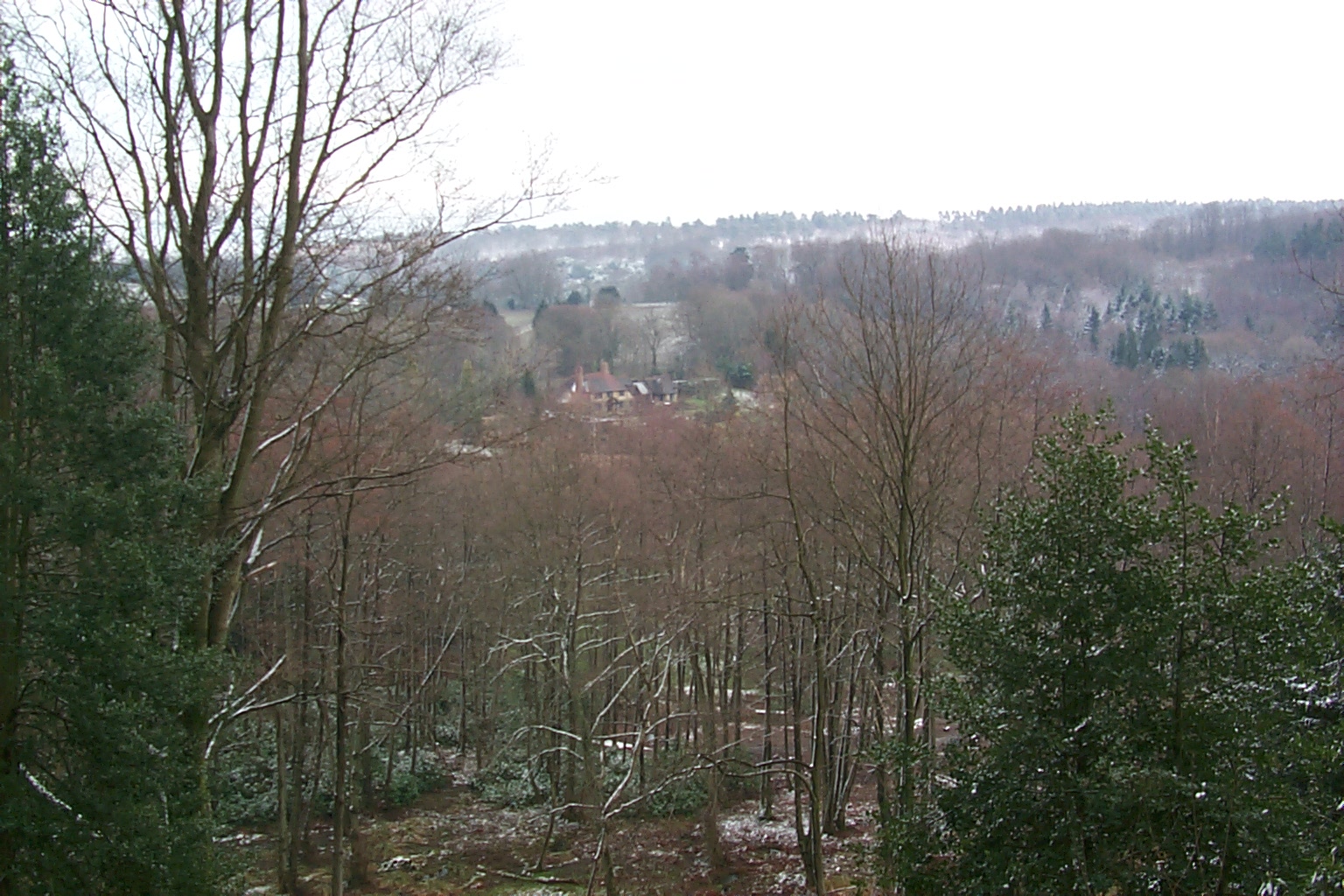 Land survey of gardens in Kingsley Green